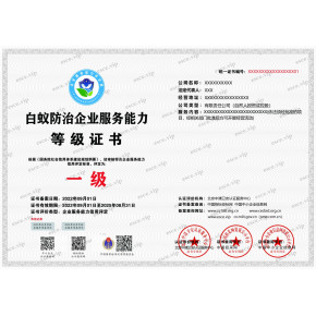 企業技術咨詢服務 打造核心競爭力與可持續發展之路